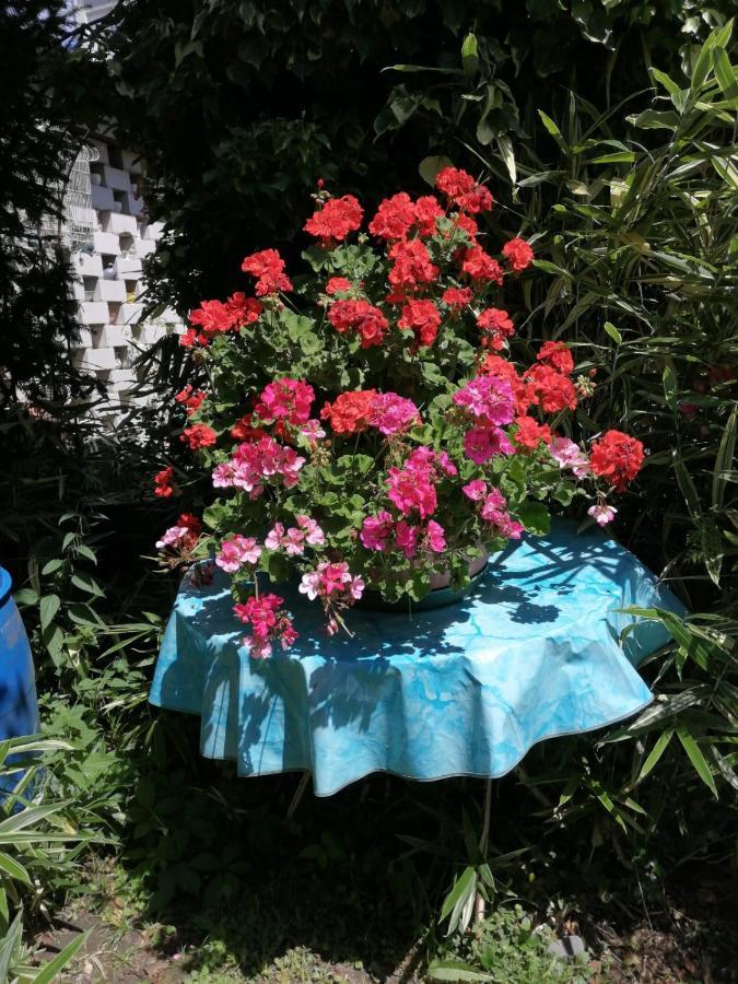 Ferienwohnung Roth Am Naturschutzgebiet Bodensee Eriskircher Ried 外观 照片